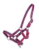  QHP Fohlen-Halfter Stripe Collection süßes Streifendesign, 3fach verstellbar, Sommerkollektion 2019 (Minishetty Fohlen, Pink Leopard)