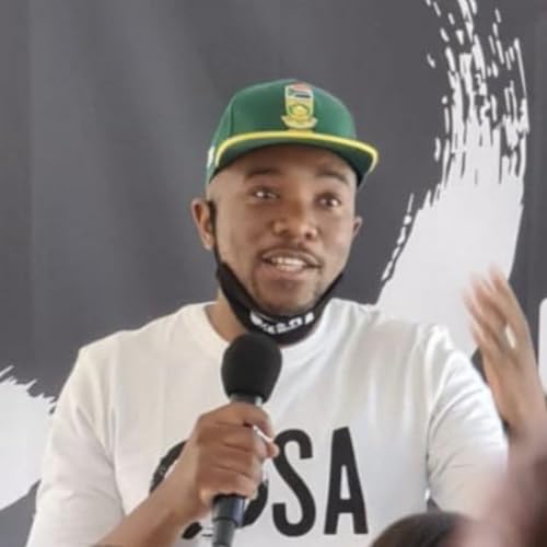 The Alec Hogg show: Political disruptor Mmusi Maimane, back to activist roots - Macron-style. Ep 13 Podcast Por arte de portada