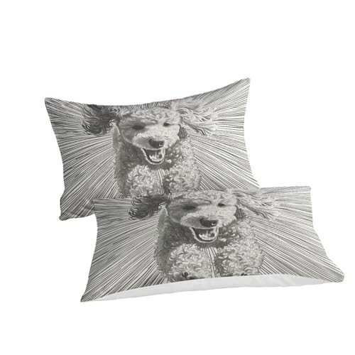 Housse de couette Caniche 260x220 cm avec fermeture éclair et taies
