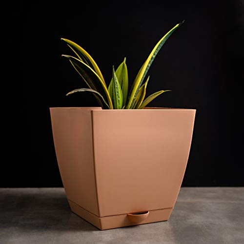 garbnoire Self Watering Pots for Plants Plastic Flower Pot for Home Indoor Outdoor Gardening 9 Inch | Home Garden Office Flowering Container Cover - (Camel, Set of 3) (B08VWR49JQ) Amazon Price History, Amazon Price Tracker