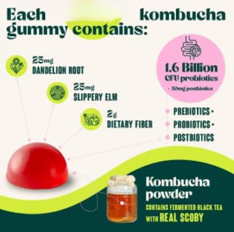 Kombucha - Per gonfiore, salute intestinale, donne e uomini, vegano, non OGM