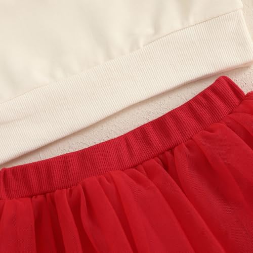Image of Thorn Tree Valentines Skirts Set Toddler Girl Spring Winter Outfits Heart Sweatshirt Mesh Skirts Cute Baby Girl Set