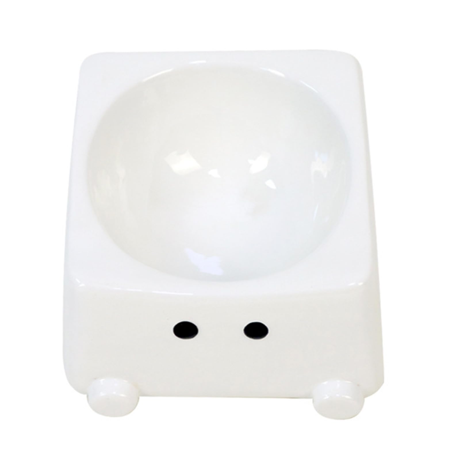 Gamelle ergonomique anti-vomissement pour animaux : plat incliné faïence 500 ML stable