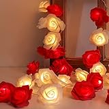 Pawliss Valentine's Day Decoration, 15FT Rose String Lights with 30 LEDs, 8 Modes Flower Fairy...