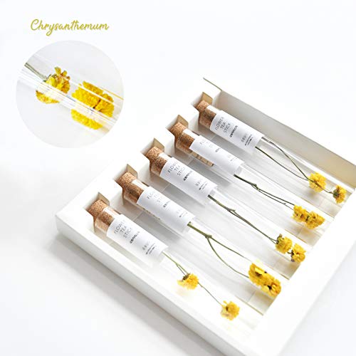 Image of KKOKDAM Tea Gift Set - Chrysanthemum Blooming Tea Flowers - Fancy Korean Gifts For Teas Lovers - 5 Premium Flower Sticks