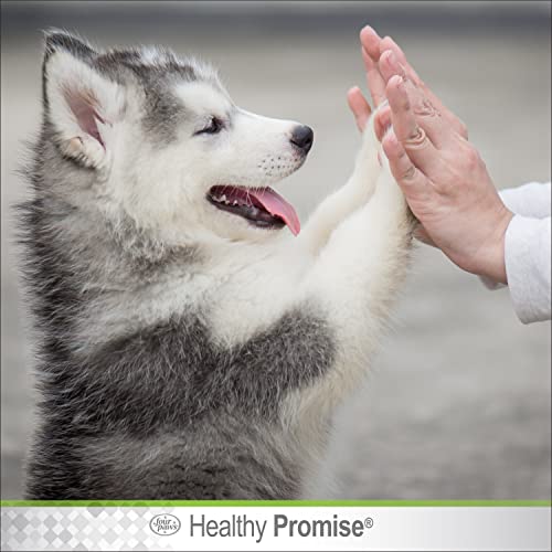 Image of Four Paws Healthy Promise Pet Paw Guard, Balm Protection for Dog Paws, 1.75 oz.