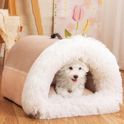 �y�b�g�x�b�h �h�[���^ �y�b�g�n�E�X ���L�p �����p �I�[���V�[�Y�� �ӂ�ӂ� ������ �L �x�b�h ������� �Q�� ��g�[ �y�b�g�p�i �􂦂� ���^�� �����t�� �x�e�� �N�b�V�����t�� �������p �O���[ (�u���E��, M)