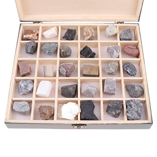 Kit de sciences naturelles avec collection de roches et boîte d'identification