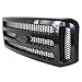 OE Replacement Ford Super Duty Grille Assembly (Partslink Number FO1200472)