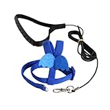 Chosertory Bird Harness and Leash, Pet Bird Traction Rope, Parrot Harness Strap, Training Rope for Cockatiel, M, Blue