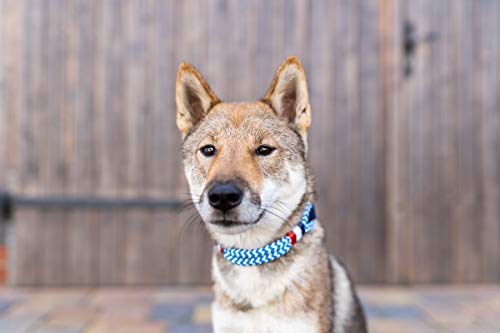 Wau-Effekt Tauhalsband für Hunde - 100% Handarbeit - Halsband - Halsung aus robustem Segeltau mit Biothaneverschluss (M, Blau/Weiß - Blau Weiß Rot)