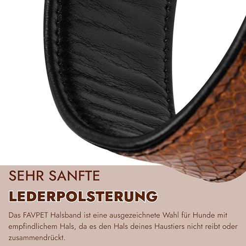 FAVPET Luxus Echtleder Windhund Halsband Breit mit QR Code Anhänger, Weiches Lederhalsband Hund Breit Whippet Italienisches Windspiel Saluki Lurcher Spanischer Galgo Greyhound Podenco (Braun, L)