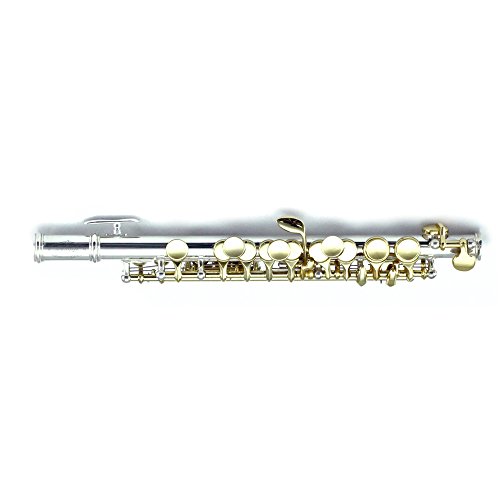 image for Sky(Paititi) Band Approved Piccolo Key of C with Hard Case, Cloth, Cle