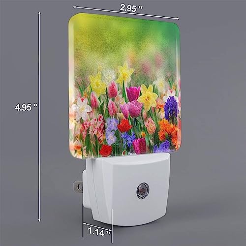 Lámparas de noche LED con sensor automático 2 piezas miniatura 3