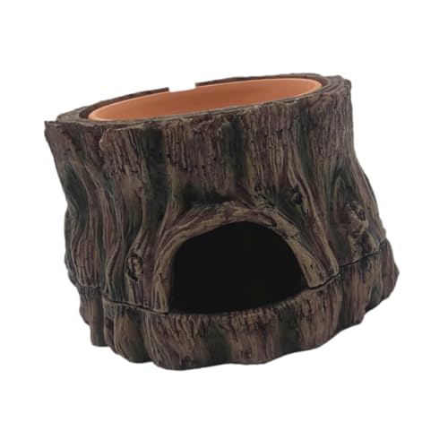 Dualoai ^NnChAEgȂAAJoXLOvbgtH[ރwrpoXLOGA, W1235