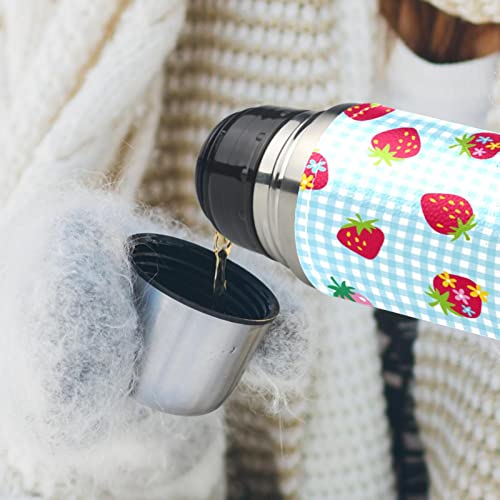 Insulated Water Bottle Stainless Steel Water Bottles Metal Water Bottle, Fruit Strawberry Plaid #TOP5
