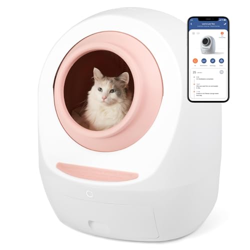 10 Cute Litter Boxes for Cats (That Won’t Make You Cringe!) Whiskers
