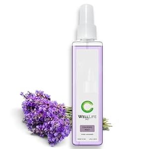 Dog calming mist  relieve dog stress from fireworks travel vet visits separation anxiety  aromatherapy anti anxiety stress reliever  4 oz spray   cucciolini doodles