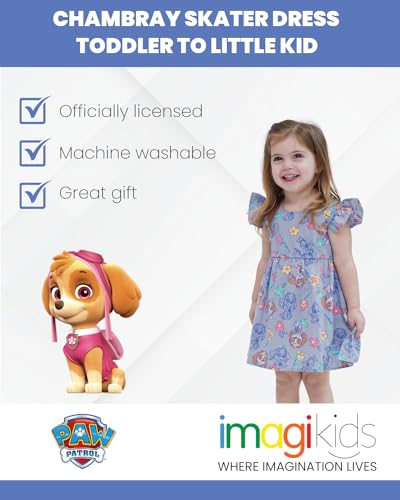 Paw Patrol Skye Floral Girls Chambray Skater Dress Toddler to Little Kid2