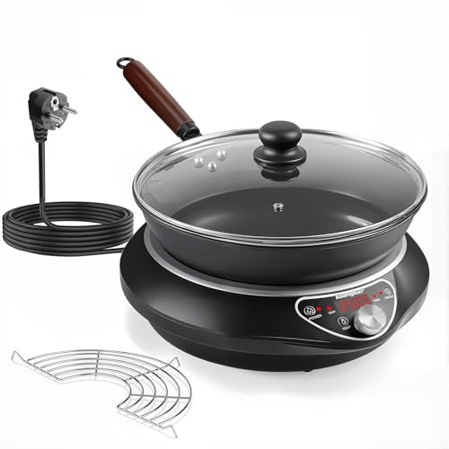 Abangdun Wok Induktionskochfeld, 2500W induktionskochplatte mit Wok 12 Heizstufen Kochplatte Induktion Temperaturbereich 60-240°C, LED Display, 18-Stunden-Timer, 190-275V (Schwarz)