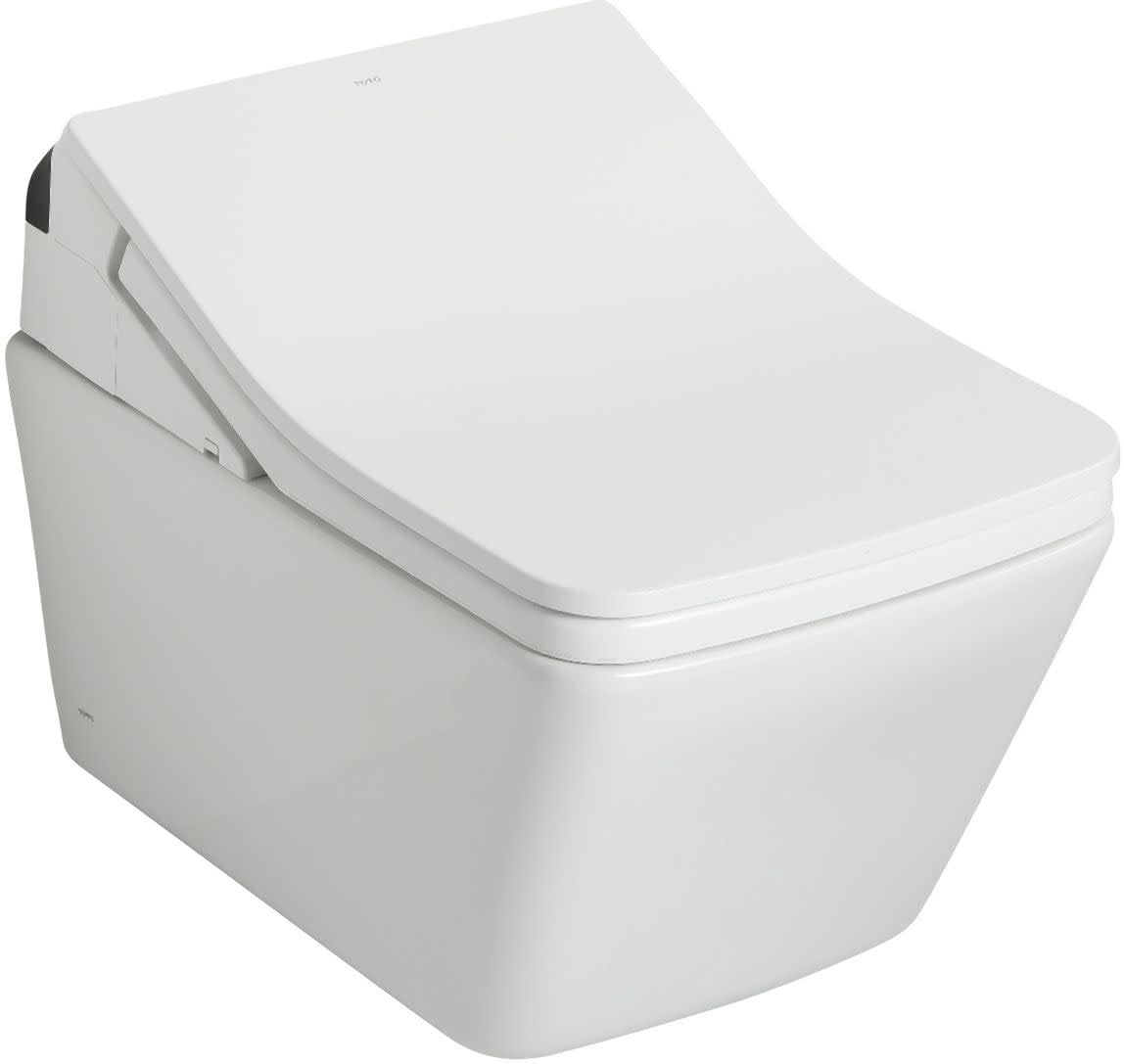 Toto SW4049T60#01 SX WASHLET+ COTTON CONCEALED CONNECTION - Amazon.com