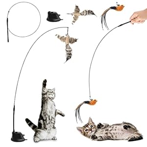 Katzen Glocken Zauberstab Katzenspielzeug Federn Mit Saugnapf Interaktives Katzenangel Saugnapf Katzenangel mit Federn und Glöckchen Interaktives Katzenspielzeug Federn Mit starkem Saugnapf 2PCS