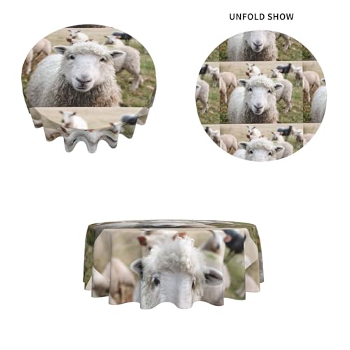 Nappe ronde agneau en polyester durable de qualité supérieure pour table - 5