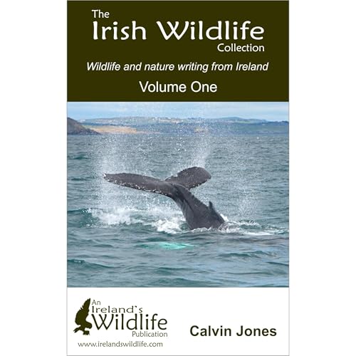 The Irish Wildlife Collection: Wildlife and nature writing from Ireland Audiobook By Calvin Jones cover art