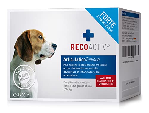 RECOACTIV Articulation Tonique Forte pour Chiens, 3 x 90 ML, complément Alimentaire diététique en Cas de Maladies articulaires dégénératives, avec Moule Verte et glucosamine Cover