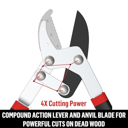 GARTOL Tesoura de Bigorna com Ação Composta, Cortador de Galhos de Árvores de 30