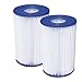 Summer Escapes B Cartridges, Two Pack of Swimming Pool Filters. Patented Cartridge Filter with Built-in Chlorinator.