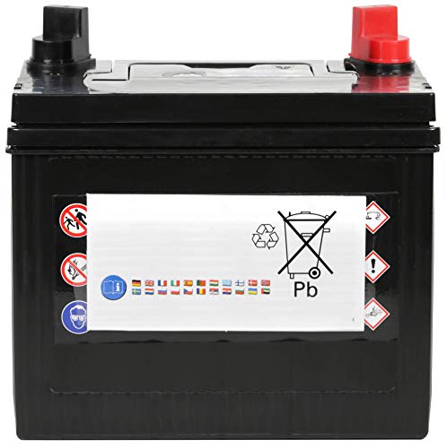 Batteria avviamento Electronicx U1 9 30Ah