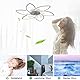 Wildcat Deckenventilator mit Beleuchtung, Modern LED Dimmbar Deckenleuchte mit Ventilator und Fernbedienung Leise, Kreativer 6 Lichter Design Deckenventilator für Schlafzimmer Küche Esszimmer…