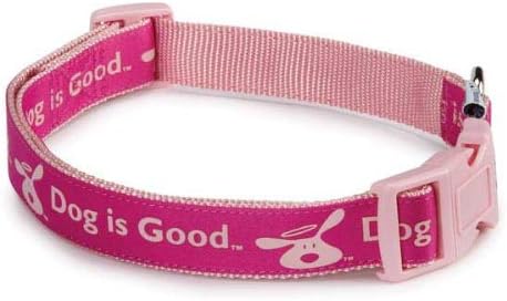 DogIsGood Bolo Pet Collar, 18 to 26-Inch, Raspberry Sorbet