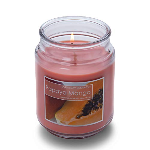 Everyday Escapes Papaya Mango Scented Jar Candle, Orange, 18 Oz - Up To 120 Hours Burn #TOP1