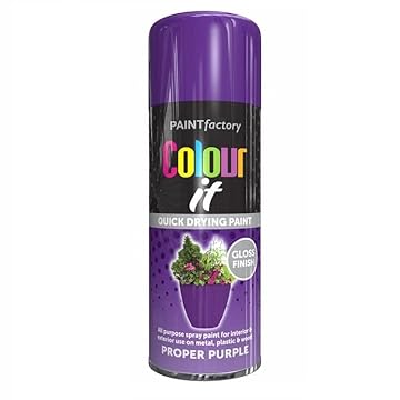 SuperGift.com Proper Purple Gloss All Purpose Aerosol Spray Paint 400ml Quick Drying Spray, Fast Dry and Excellent Coverage for Metal, Wood, Plastic and More by Diva Gift
