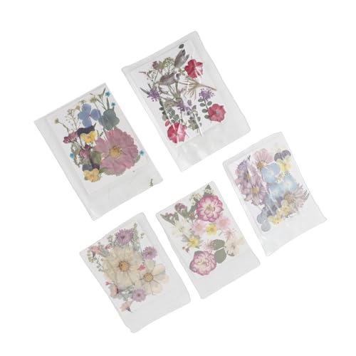 Flores prensadas MAVIS LAVEN, 5 bolsas de estilos variados miniatura 7