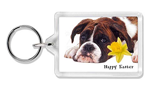 Preisvergleich Produktbild Boxer Hund "Personalisierbar Foto Schlüsselanhänger Tier Geschenk