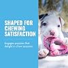 KONG Puppy Goodie Bone with Rope - Natural Rubber Bone with Cotton Rope - Teeth Cleaning Chew Toy for Growing Puppies - for XS Puppies - Pink