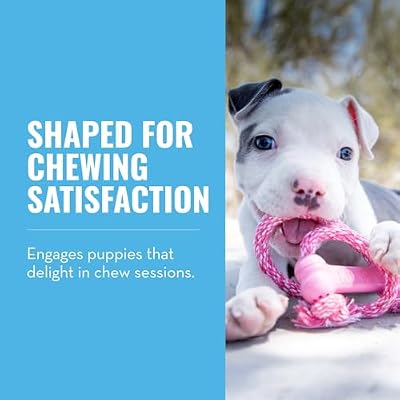 KONG Puppy Goodie Bone with Rope - Natural Rubber Bone with Cotton Rope - Teeth Cleaning Chew Toy for Growing Puppies - for XS Puppies - Pink