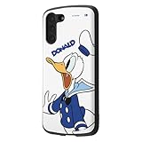 RT-DGS21PAC3/DD [�h�i���h�_�b�N]