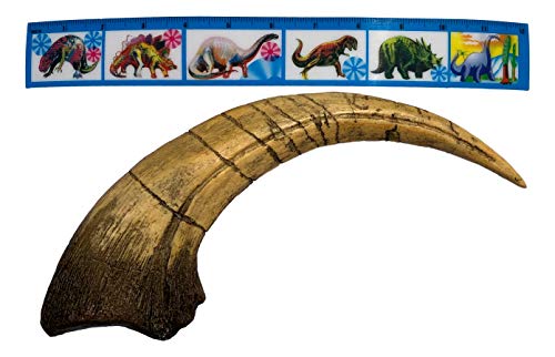 Megaraptor Claw - Dinosaur Replica, Museum Quality #TOP4