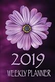2019 Weekly Planner: January 2019 to December 2019 Calendar: Year at a glance and Weekly Planner