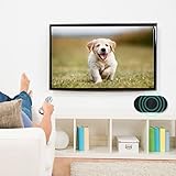 SUNGOOYUE Altoparlante USB, Mini Cassa Portatile a Doppio Clacson con Decodificatore Scheda USB, Perfetta per Film, Musica e Giochi (BLACK)