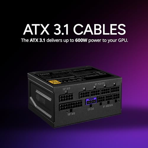 Cooler Master V850 SFX ゴールド の商品画像 3