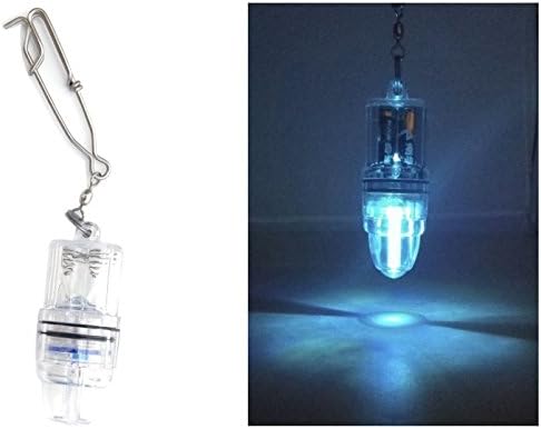 LED 2PACK Deep Drop Underwater Fishing Flashing Light Bait Lure Squid, AA Battery Activated(Not Included), 800M Deep (Blue(2Pack Battery Changeable))