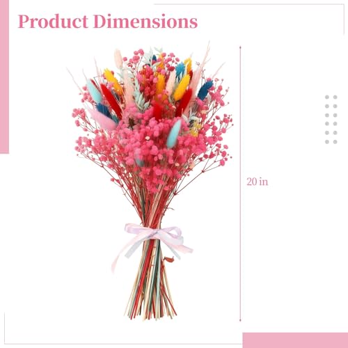 Bouquet de flores secas Pampas multicolor miniatura 5