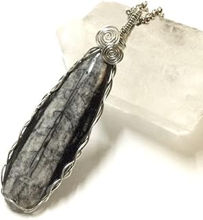 約4億年以上前 太古の浪漫 本物化石 直角貝 オルソセラス ネックレス