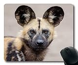 Die rutschfeste Naturkautschukbasis kann den Desktop fest greifen. Hochwertiges weiches Material für Komfort und Maussteuerung.