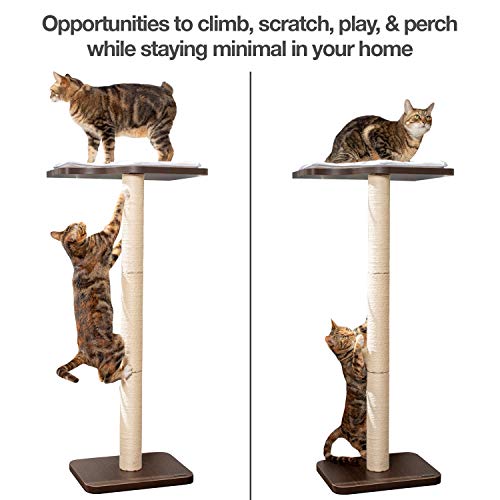 Petfusion Ultimate Cat Window Climbing Perch 45” Tall (Tree Sisal Scratching Posts, Modern Design Simply Suctions To Window. (Easy To Assemble) 1 Year Warranty For Manufacturer Defects (Pf-Wp1) #TOP1